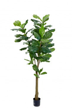 Götessons Fiol Ficus H1500mm Kunstpflanze  160003 0