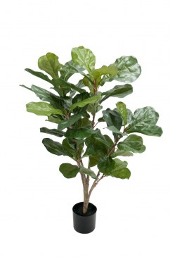 Götessons Fiol Ficus H900mm Kunstpflanze  160002 0