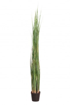 Götessons Grass im Topf H1300 Kunstpflanze  160009 0